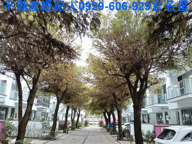 嘉義大林透天-0