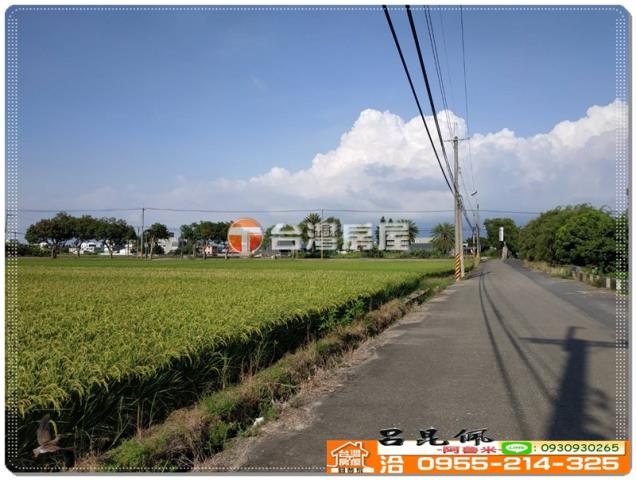 嘉義民雄農地-4