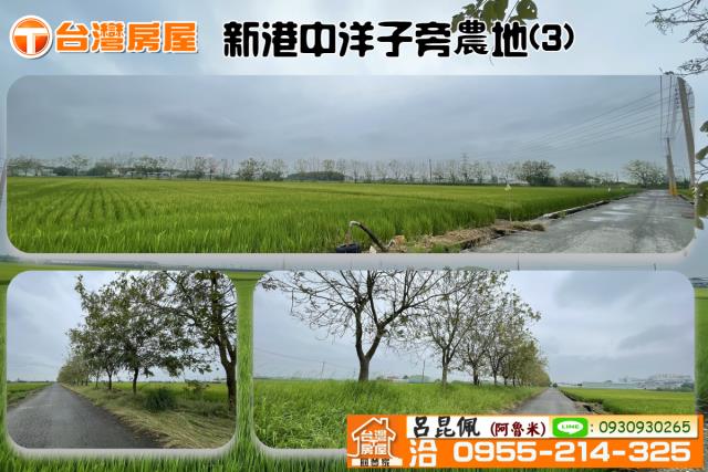 嘉義新港農地-0