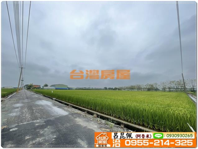 嘉義新港農地-1