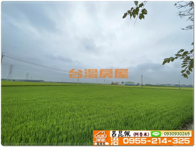 嘉義新港農地-2