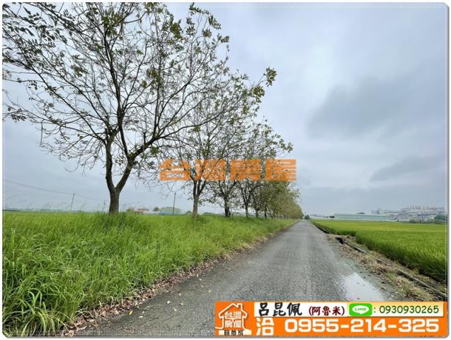 嘉義新港農地-3