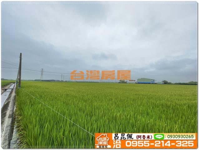 嘉義新港農地-4