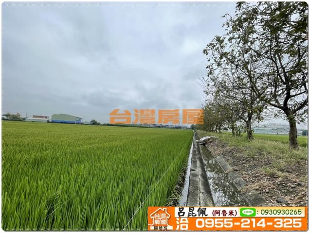 嘉義新港農地-5