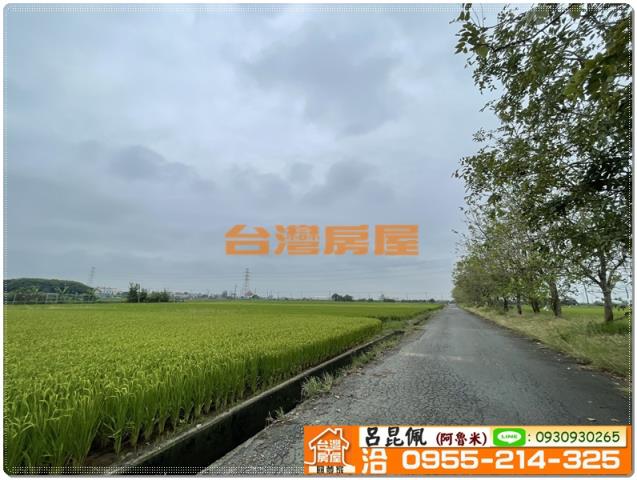 嘉義新港農地-6