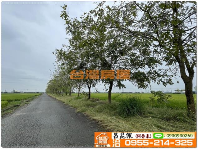 嘉義新港農地-7