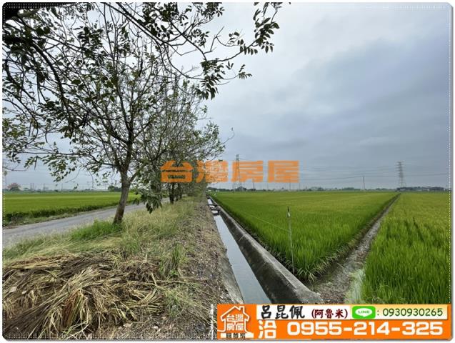嘉義新港農地-8