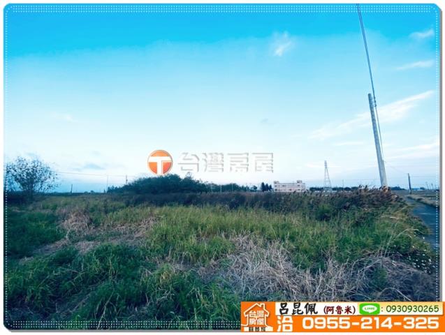 嘉義民雄農地-2