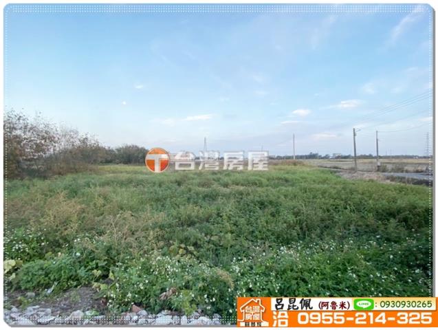 嘉義民雄農地-5