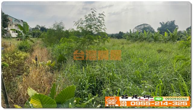 嘉義竹崎農地-2