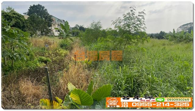 嘉義竹崎農地-3