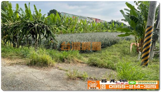 嘉義竹崎農地-5