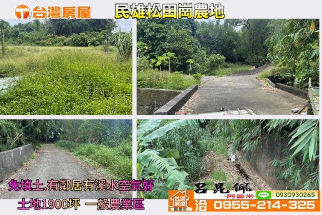 嘉義民雄農地-0