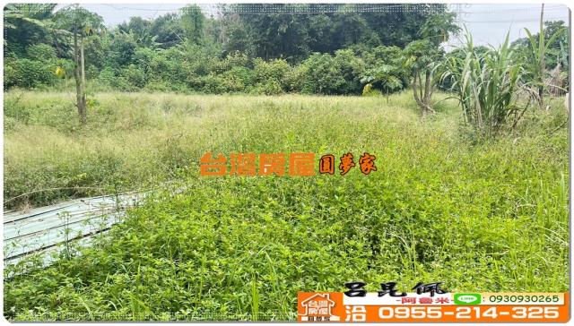 嘉義民雄農地-2