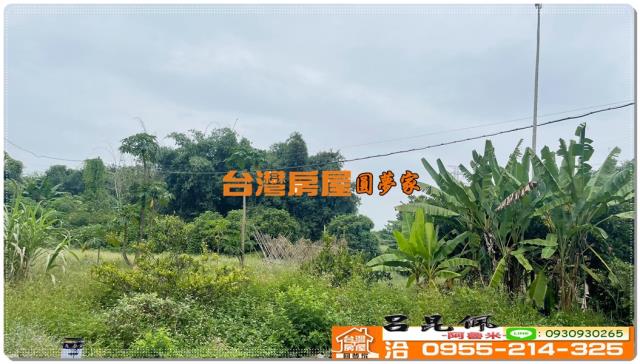 嘉義民雄農地-3