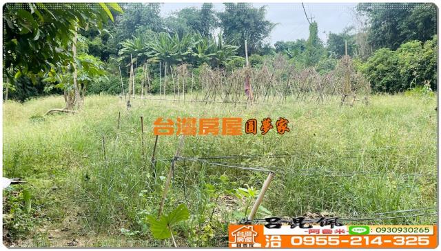 嘉義民雄農地-6