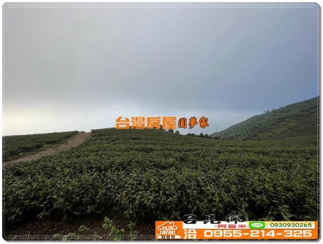 嘉義竹崎農地-10