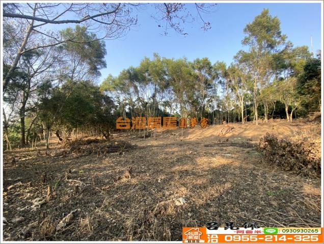 嘉義竹崎農地-9