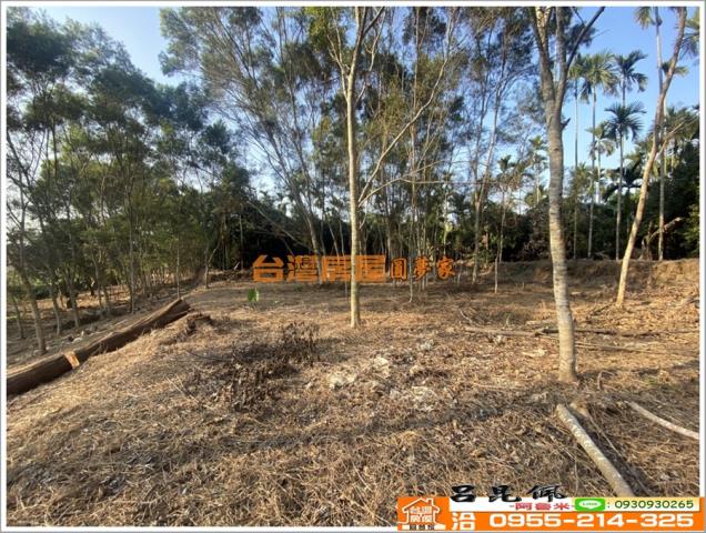 嘉義竹崎農地-10