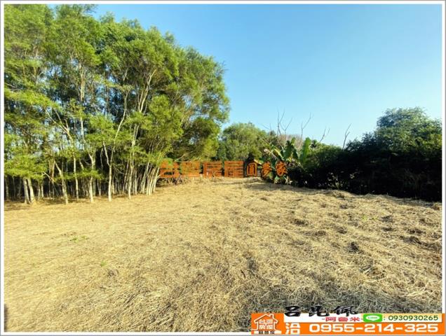 嘉義竹崎農地-2