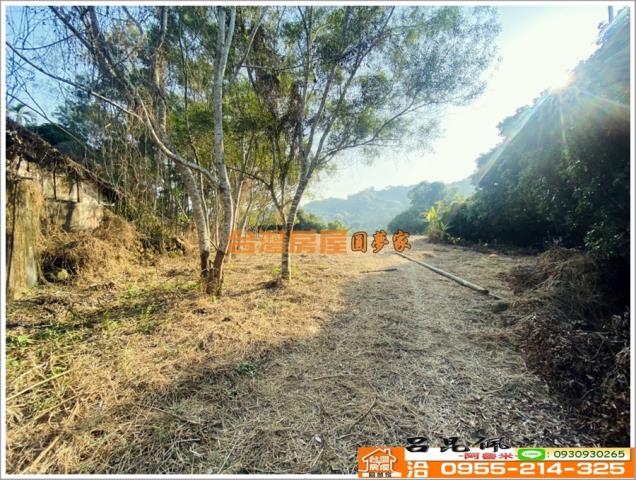 嘉義竹崎農地-3