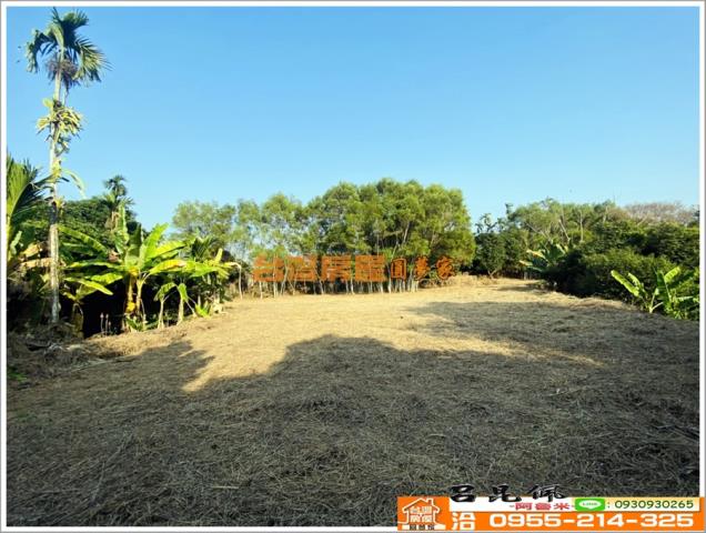 嘉義竹崎農地-4