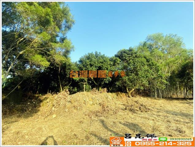 嘉義竹崎農地-6