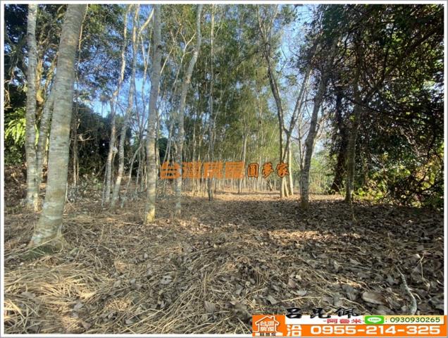 嘉義竹崎農地-7