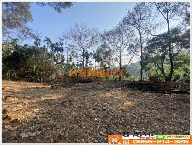 嘉義竹崎農地-8