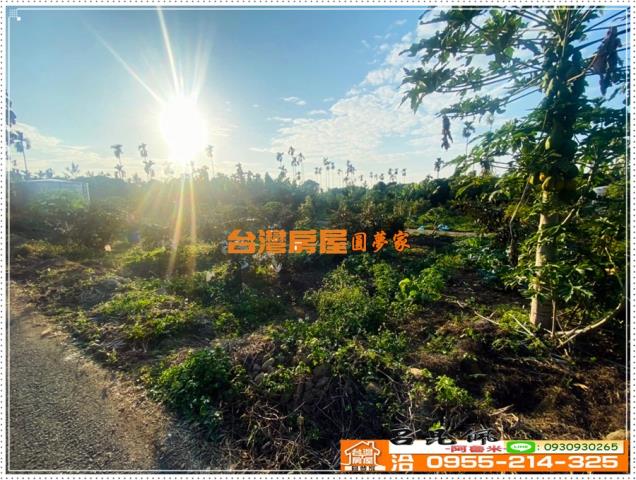 嘉義番路農地-9