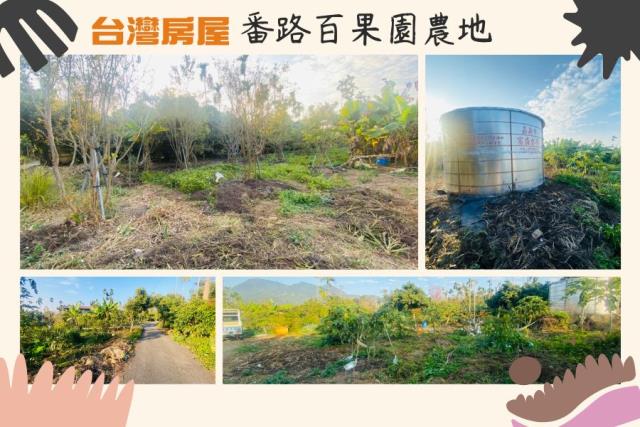 嘉義番路農地-0