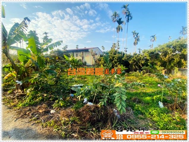 嘉義番路農地-1