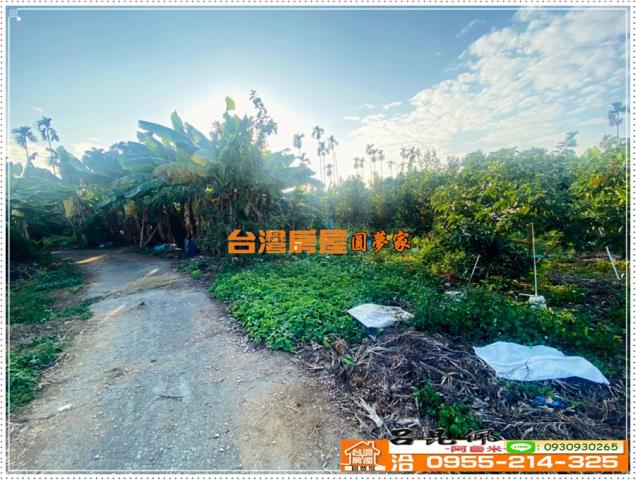 嘉義番路農地-2