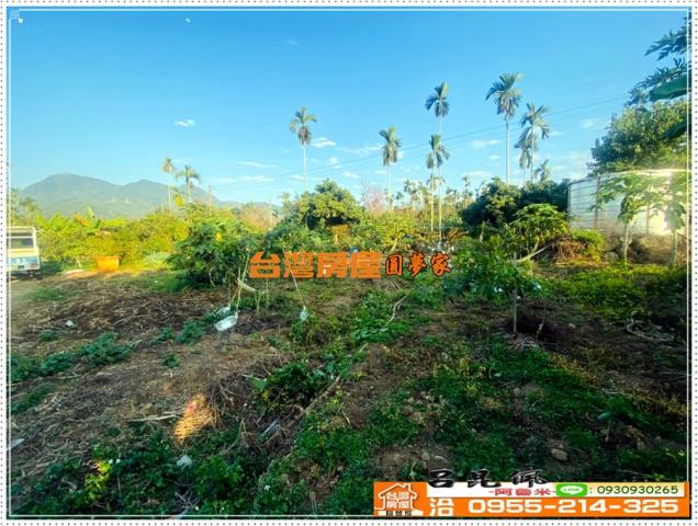 嘉義番路農地-3