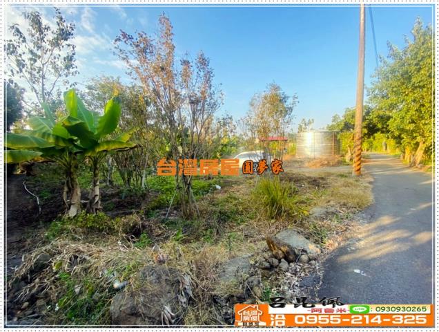 嘉義番路農地-4