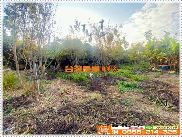 嘉義番路農地-5