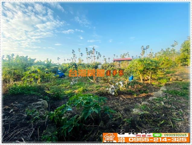 嘉義番路農地-6