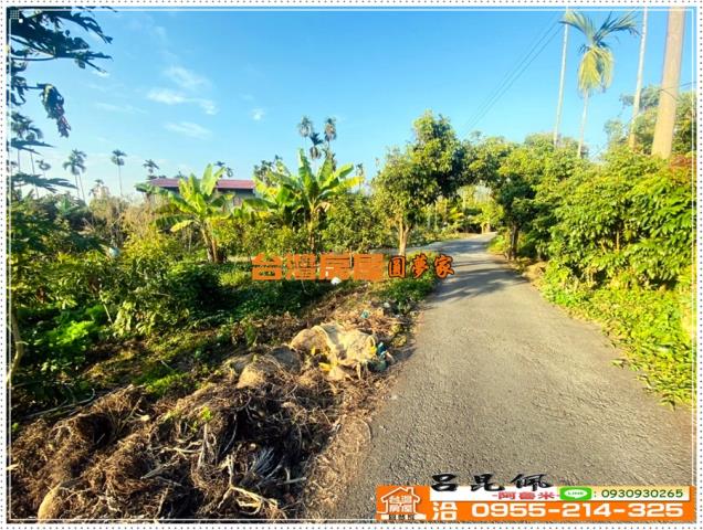 嘉義番路農地-8