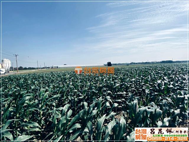 嘉義農地-2