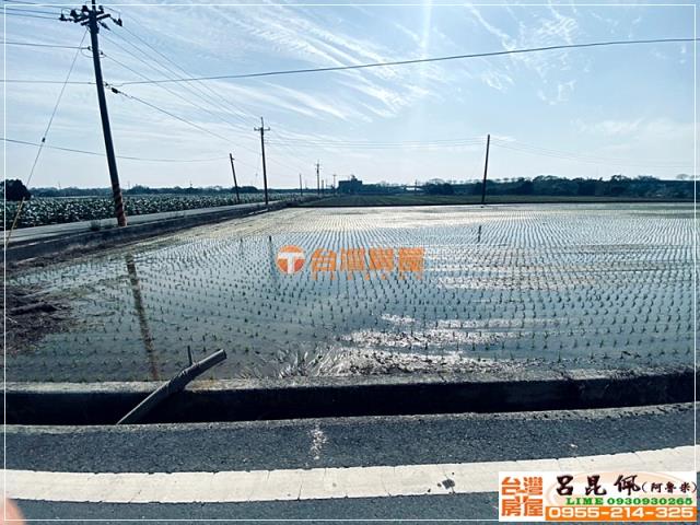 嘉義農地-5