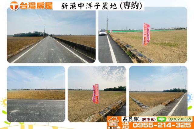 嘉義農地-0