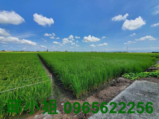 嘉義朴子農地-0