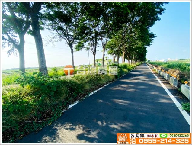 嘉義義竹農地-1