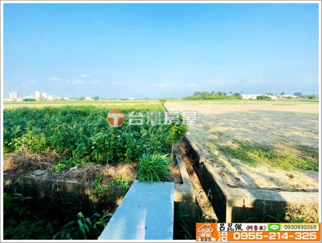 嘉義義竹農地-2