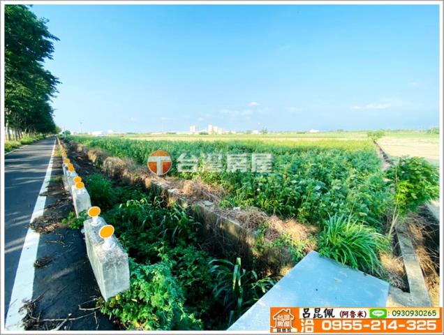 嘉義義竹農地-3