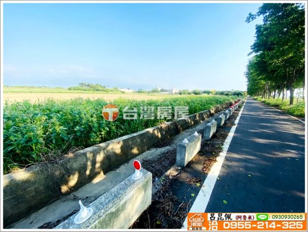 嘉義義竹農地-4