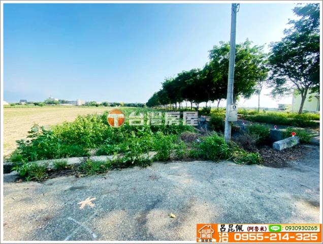 嘉義義竹農地-6