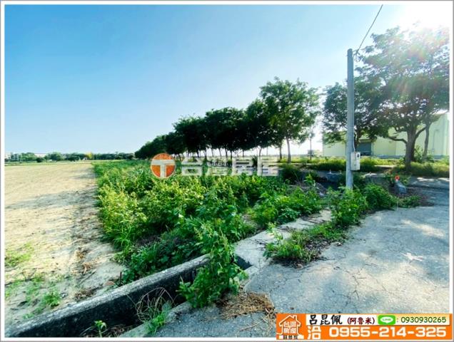 嘉義義竹農地-7