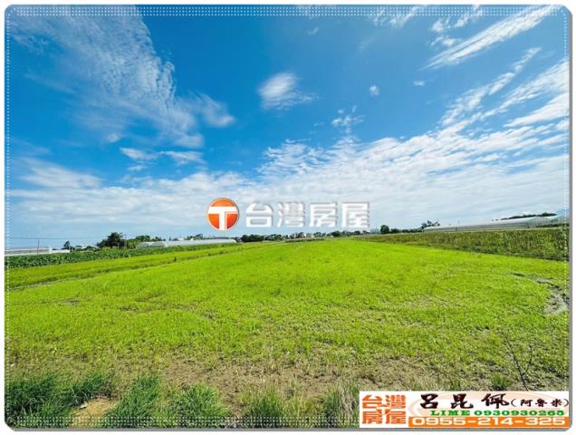 嘉義水上農地-3