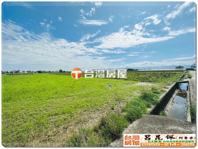 嘉義水上農地-4